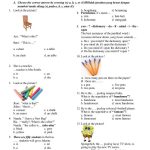 Soal Uts Bahasa Indonesia Kelas 5 Semester 2 Dalchaebi