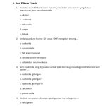 Soal Narkoba Kelas 10 Semester 2 PDF