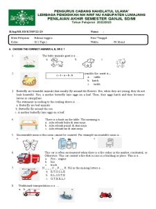 Ternyata Ini 7 Soal Bahasa Inggris Kelas 3 SD Semester 1 PDF 2026 yang Sering Keluar Ternyata Ini 7 Soal Bahasa Inggris Kelas 3 SD Semester 1 PDF 2026 yang Sering Keluar