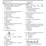 Soal PJOK Kelas II Semester II 2023 PDF