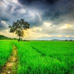 1000 Beautiful Natural Photos Pexels Free Stock Photos