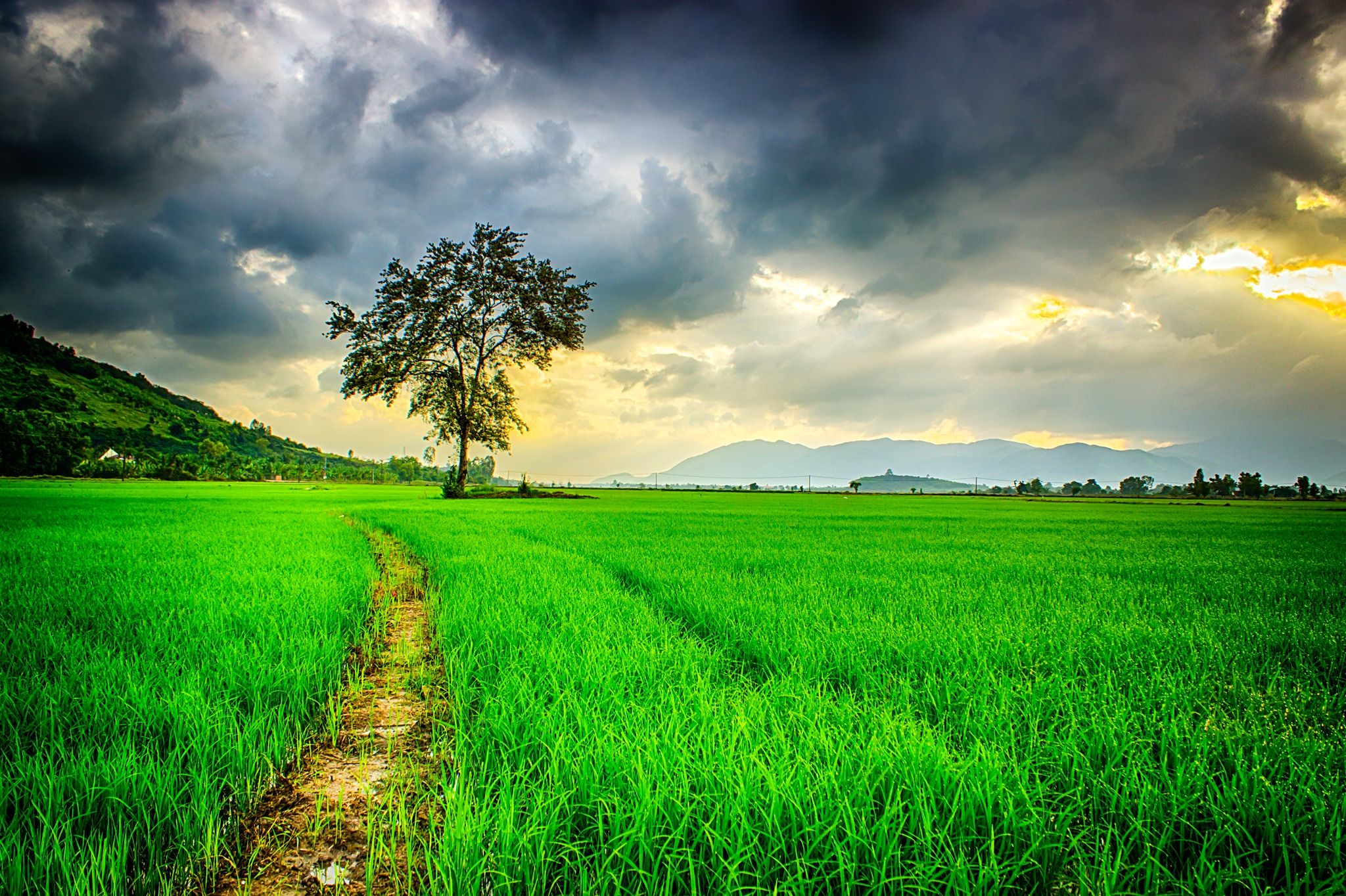 1000 Beautiful Natural Photos Pexels Free Stock Photos