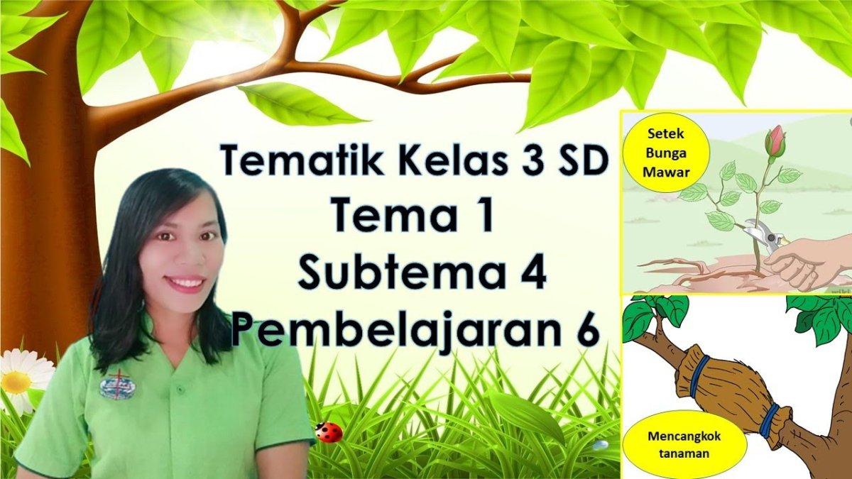 Rahasia Nilai Sempurna Latihan Soal Tema 5 Sub Tema 1 Kelas 3 SD Terbaru 2026 Rahasia Nilai Sempurna Latihan Soal Tema 5 Sub Tema 1 Kelas 3 SD Terbaru 2026